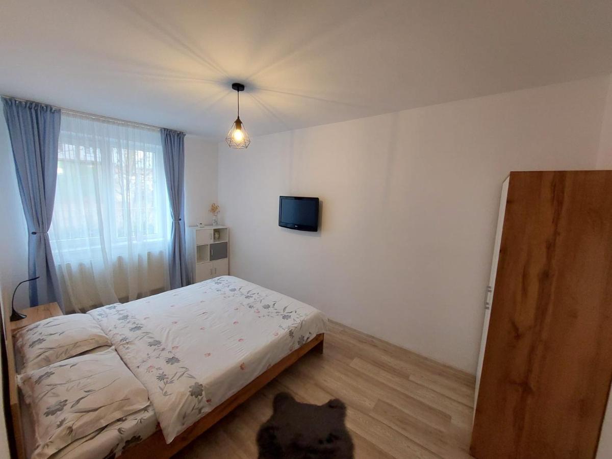 Youth Central Apartment Targu-Mures Bagian luar foto