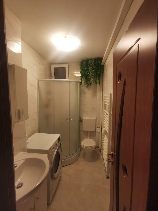 Youth Central Apartment Targu-Mures Bagian luar foto